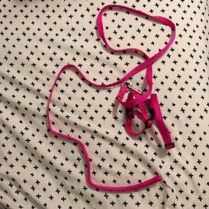 rat ferret hamster guinea pig leash